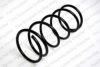 LESJ?FORS 4262002 Coil Spring